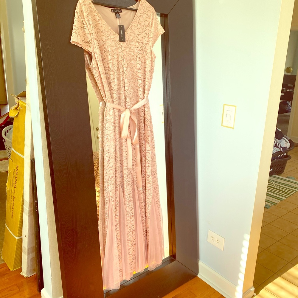 Beautiful pink lace with shiffon accents dress 2x